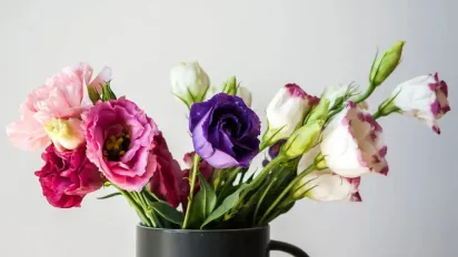 Що потрібно робити, щоб квіти довго зберігали свіжість у вазі - фото