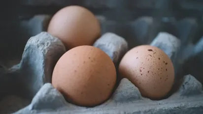 Як не підхопити сальмонельоз: рекомендації лікарів щодо вживання яєць - фото