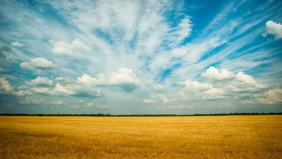 Що пили 18 червня, щоб подолати недуги: народні прикмети - фото