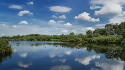 18 червня: чому не варто спати довго та виходити вночі — народні прикмети - фото