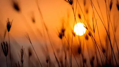 Як загадати бажання на літнє сонцестояння 2025 року, щоб воно справдилося - фото