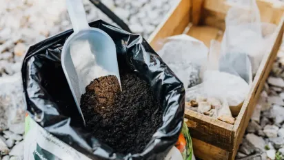 Забудьте про добрива на 365 днів: чому варто зробити річну паузу і нічого не вносити в ґрунт - фото