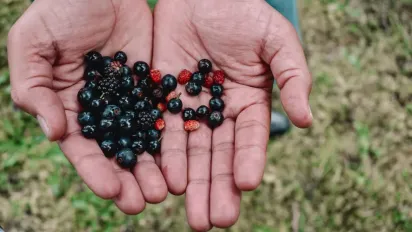 Найкорисніша ягода літа: чому її варто їсти щодня - фото