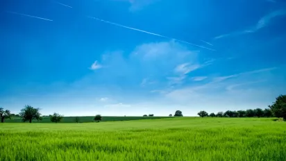 Чому 20 червня не можна рахувати гроші: народні прикмети - фото