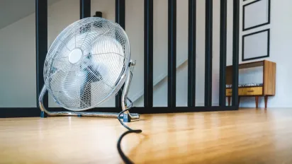 Як охолодити кімнату без кондиціонера: допоможуть звичайні кімнатні рослини - фото