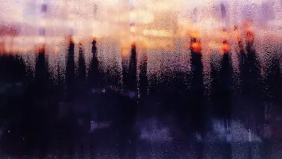 Пліснява не повернеться: які рослини зменшують вологість у приміщенні - фото