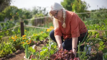 Пирій більше не повернеться: 3 перевірені методи його знищення - фото