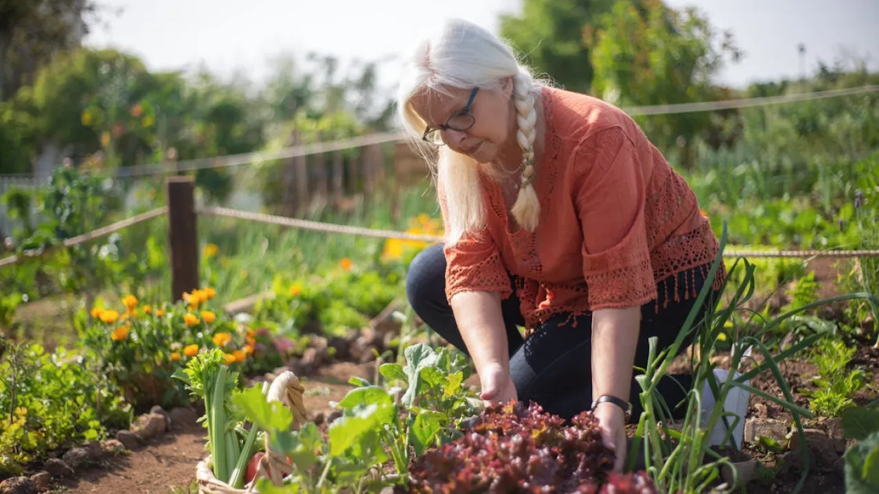 Пирій більше не повернеться: 3 перевірені методи його знищення 
