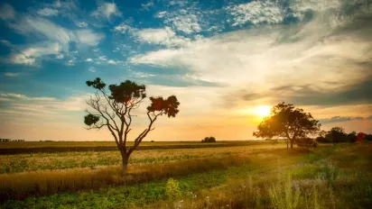 25 червня: яке сьогодні свято, та що заборонено робити цього дня - фото