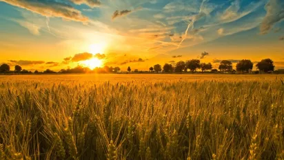 Яку страву не можна готувати 25 червня, аби не накликати бідність: народні прикмети - фото