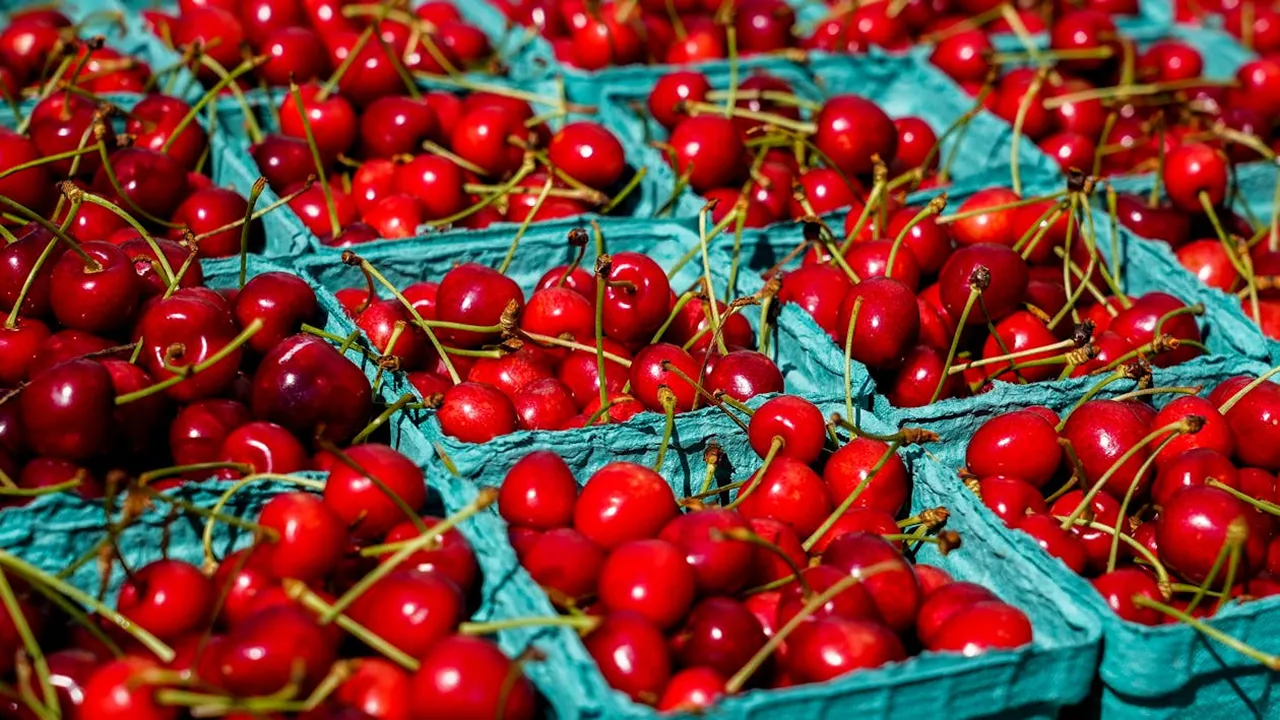 Як перевірити черешню на ринку: ознаки хімічної обробки, які легко помітити 