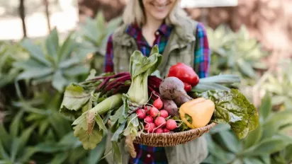 Невибагливі й урожайні: найкращі 5 овочів для початківців - фото