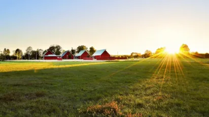 Що викидали 27 червня, щоб притягнути достаток: народні прикмети - фото