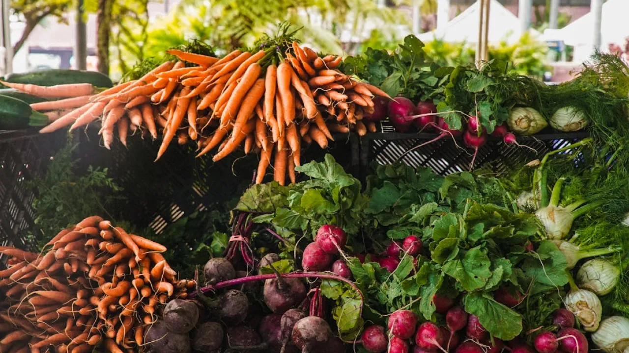 Синоптик попередив про наслідки аномальної погоди для врожаю в Україні 