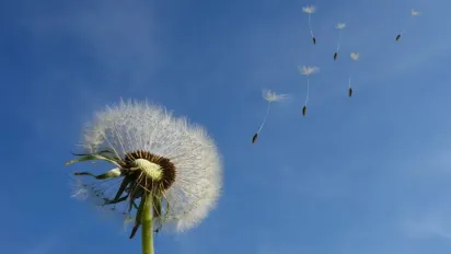 Жовтий рівень небезпеки на Рівненщині: негода 28 червня - фото
