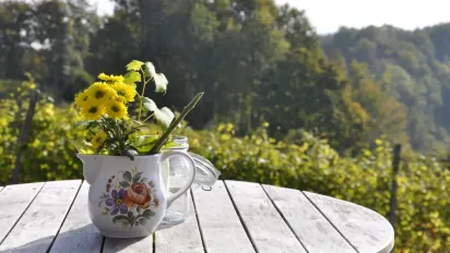 В Україну йде справжня літня спека: синоптикиня назвала точні дати - фото