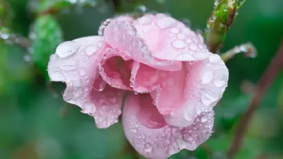 В Україну йдуть дощі та вітер: де зіпсується погода - фото