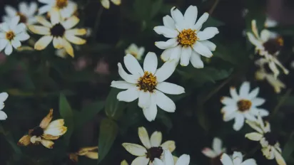 30 червня – Собор 12 апостолів: традиції, заборони та народні прикмети - фото