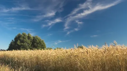 В Україні оголосили І рівень небезпеки: негода накриє шість областей - фото