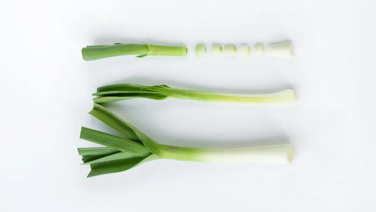 Пророщування цибулі вдома: без ґрунту та без вазонів 