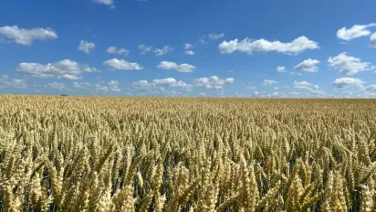 Що можна і чого не слід робити 1 липня: народні традиції, заборони та прикмети - фото