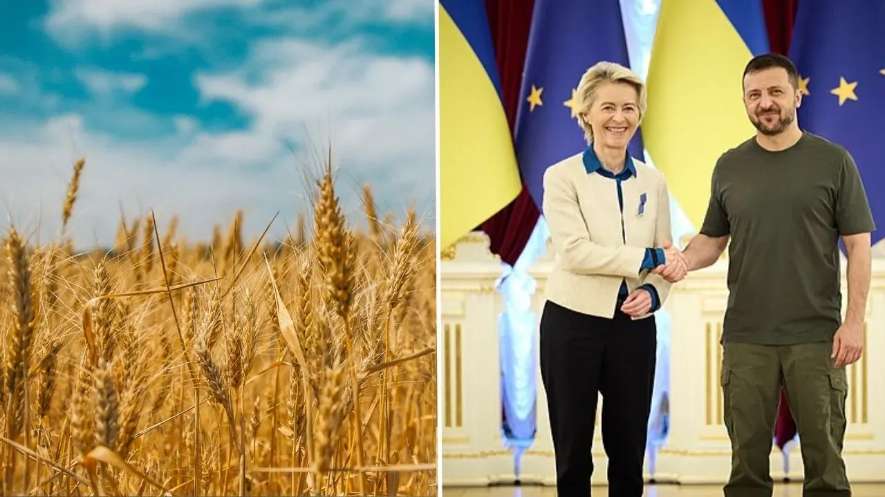 ЄС та Україна погодили нову торгівельну угоду: що зміниться 