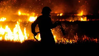 Масштабні пожежі в українських регіонах: ДСНС - фото