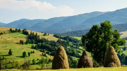 Кожен будинок — як палац: як виглядає найбагатше селище України (ФОТО) - фото
