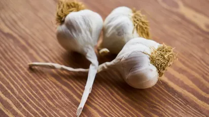 Коли краще викопувати часник: точні терміни та корисні поради - фото