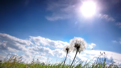 Україну накриє хвиля спеки: коли варто чекати температурних змін - фото