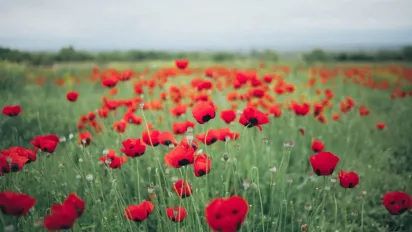 Чому 3 липня вважали небезпечним днем: народні прикмети - фото