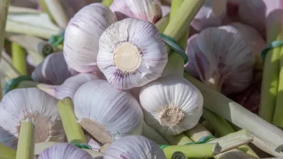 Часникові стрілки: обрізати чи залишити – нарешті зрозуміли, як правильно - фото