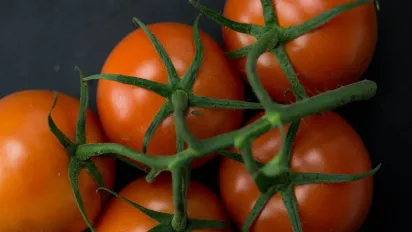 Липнева помилка, яка знищує урожай томатів: як не втратити плоди на піку сезону - фото