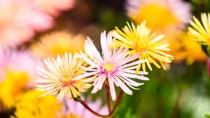 В Україну прийшов атмосферний фронт: що буде з погодою - фото