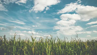 Втратите удачу й накличете проблеми: що заборонено робити 7 липня - фото