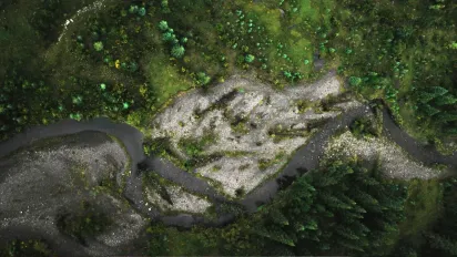 Які річки Європи можуть зникнути в найближчі роки: серед них є й українські - фото