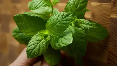 Як зварити варення-желе з м’ятою: детальний покроковий рецепт - фото