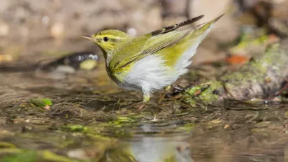 До України йде циклон "Габріель": як він змінить погоду - фото