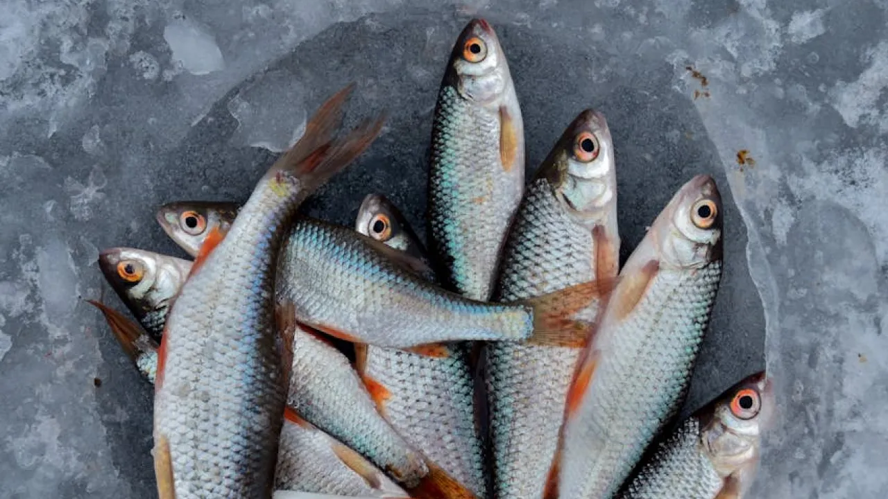 Секрети господинь: як почистити рибу без бардаку на кухні 