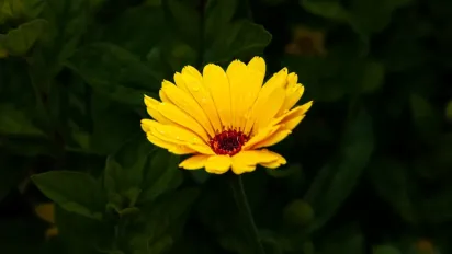 Грози, зливи й аномальна спека: синоптикиня Діденко попередила про погоду 10 липня - фото