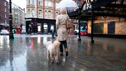 Україну охопили потужні зливи: синоптик розказав, якою буде погода до кінця тижня - фото