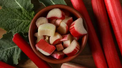 Популярний овоч псує нирки, а у Європі його вже ніхто не їсть - фото