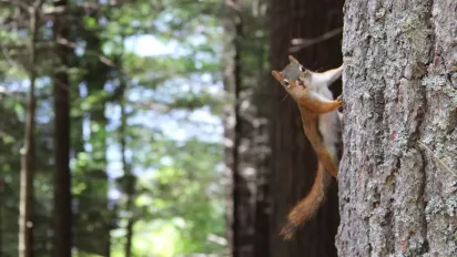 Синоптикиня попередила українців про контрастну погоду: до чого готуватися - фото