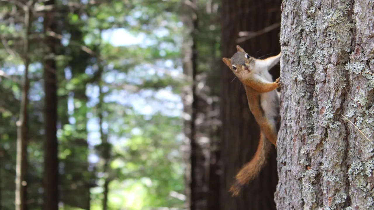 Синоптикиня попередила українців про контрастну погоду: до чого готуватися 