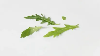 Вирощування руколи на підвіконні — перший врожай за тиждень - фото