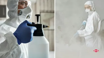 Змії на вашій території: що робити і як запобігти їхній появі - фото