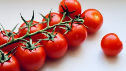 Як зберегти помідори свіжими на 2 тижні довше — перевірений лайфхак - фото