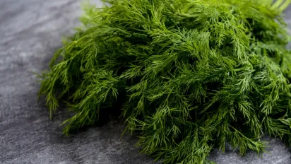 З яких грядок варто прибрати кріп, щоб не втратити врожай: поради городникам - фото