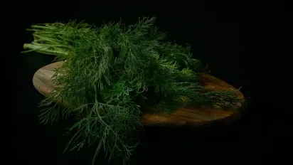 Кріп у липні: як замочити насіння, щоб врожай був рясним - фото