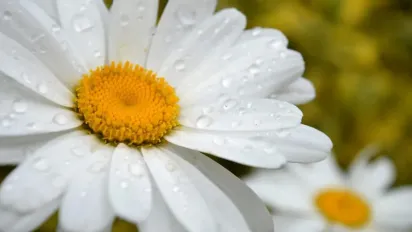 Субота в Україні буде спекотною та з дощами: де знадобиться парасолька - фото